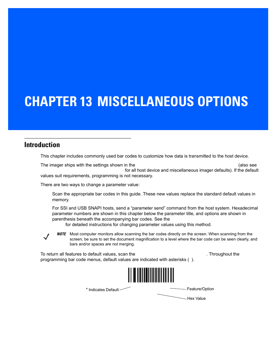 Miscellaneous options, Introduction, Chapter 13: miscellaneous options | Introduction -1, Chapter 13, miscellaneous options, Chapter 13 miscellaneous options | Rice Lake Motorola DS457 Laser Scanner User Manual | Page 317 / 428