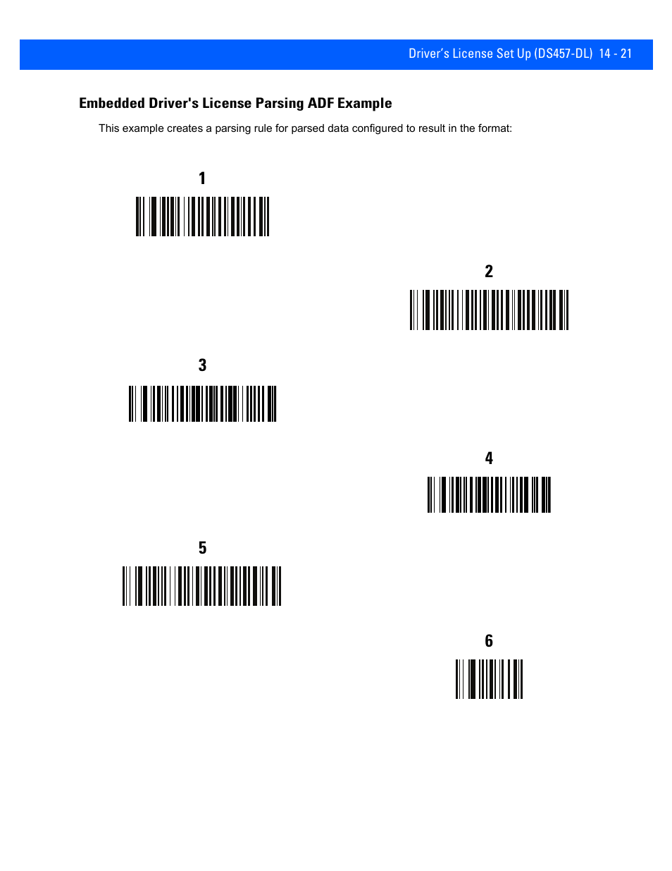 Embedded driver's license parsing adf example, Embedded driver's license parsing adf example -21 | Rice Lake Motorola DS457 Laser Scanner User Manual | Page 345 / 428