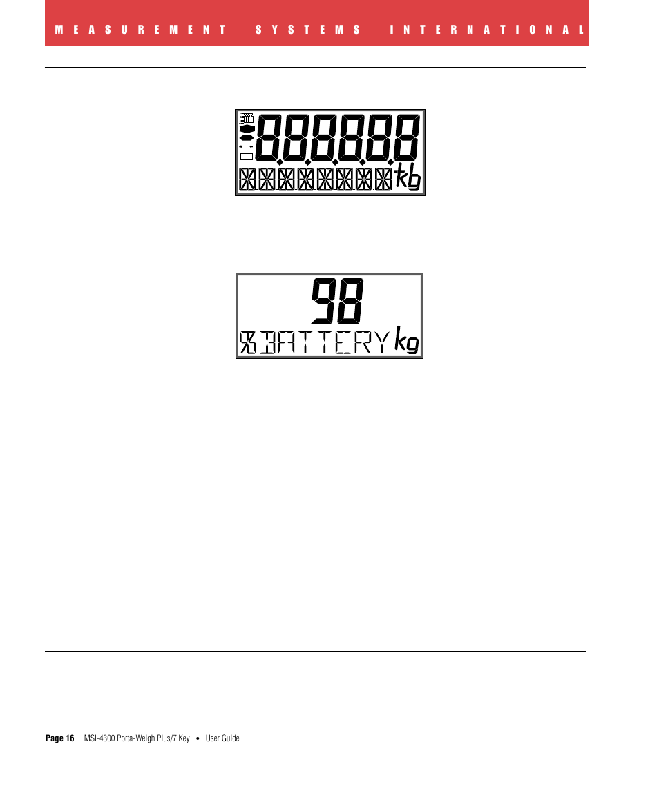 Test, Setup | Rice Lake MSI4300 PortaWeigh Plus Crane Scale 7 Key User Manual | Page 17 / 50