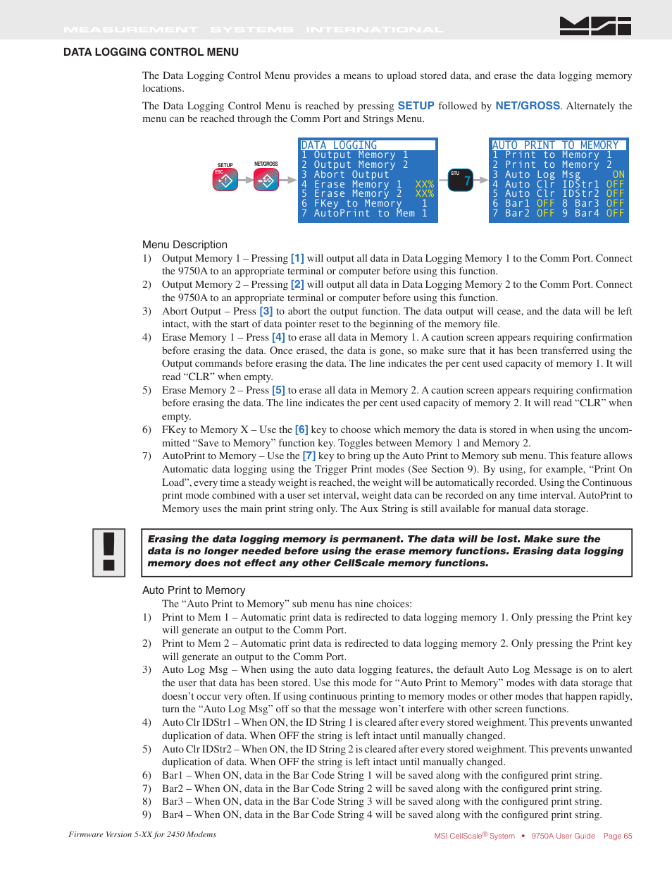 Rice Lake MSI-9750A CellScale RF Portable Indicator User Manual | Page 65 / 95