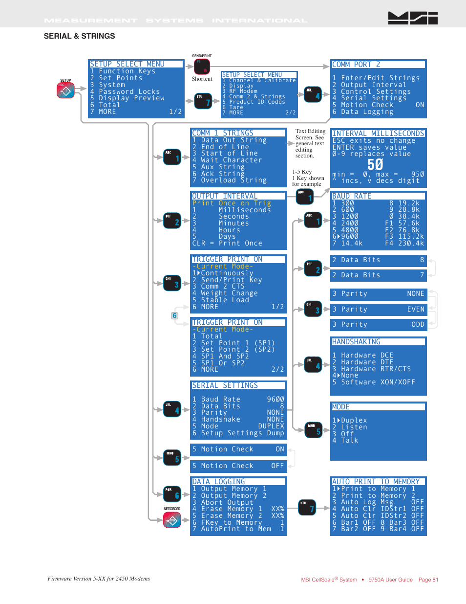 Rice Lake MSI-9750A CellScale RF Portable Indicator User Manual | Page 81 / 95