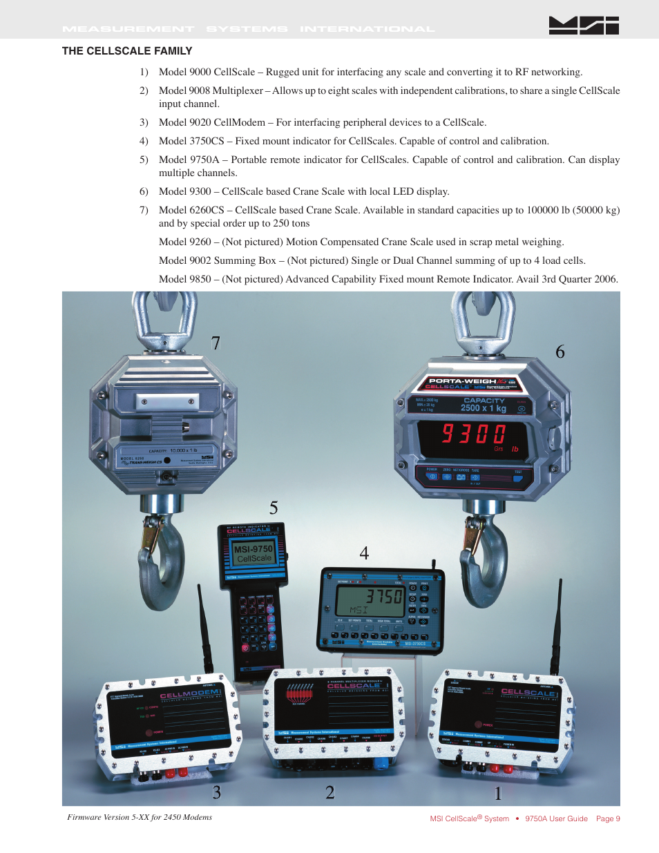 Rice Lake MSI-9750A CellScale RF Portable Indicator User Manual | Page 9 / 95