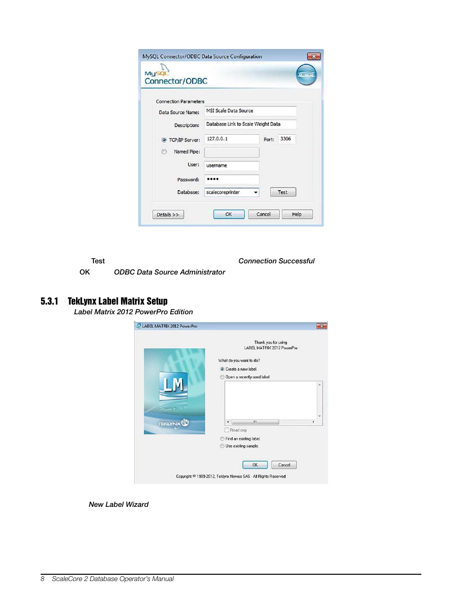 1 teklynx label matrix setup, Teklynx label matrix setup | Rice Lake MSI-8000 RF Remote Display - ScaleCore 2 Database Program (Sc2Db) User Manual | Page 12 / 24