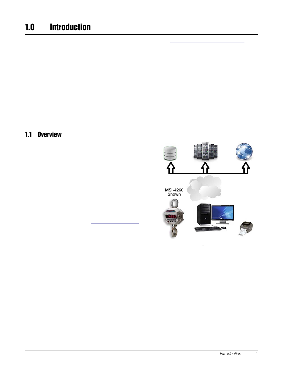 0 introduction, 1 overview, Introduction | Rice Lake MSI-8000 RF Remote Display - ScaleCore 2 Database Program (Sc2Db) User Manual | Page 5 / 24