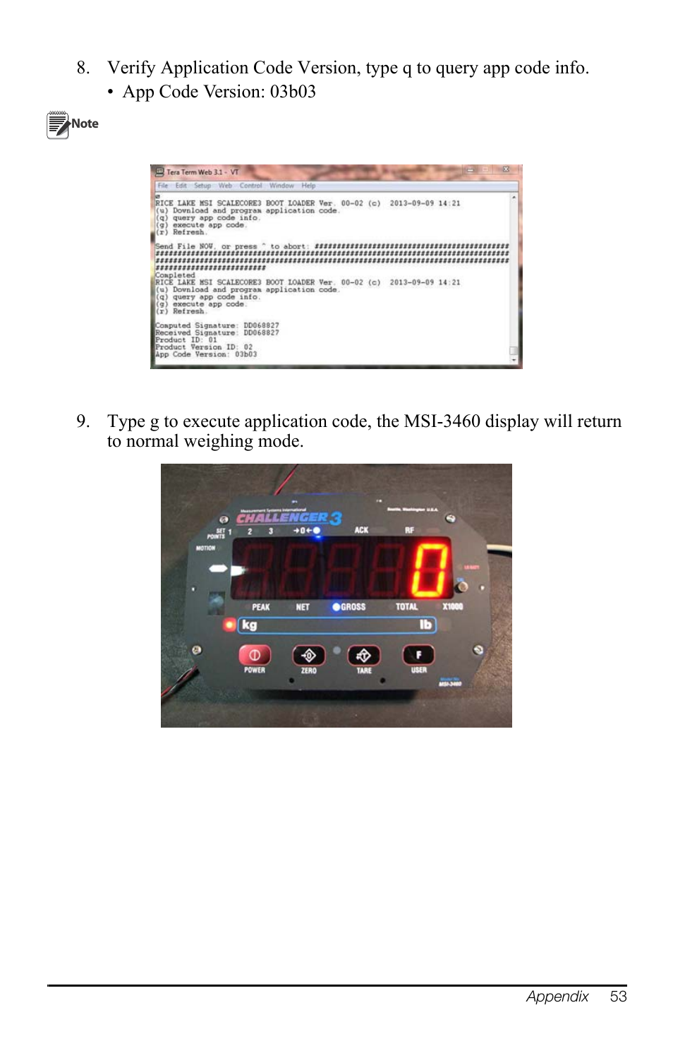 Rice Lake MSI-3460 Challenger 3 User Manual | Page 57 / 64