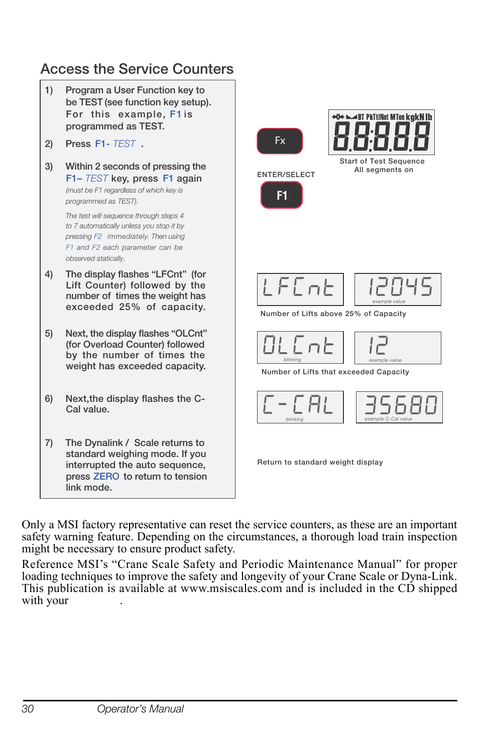 Qw  2/&qw, Access the service counters | Rice Lake MSI-8000 RF Remote Display User Manual | Page 34 / 44
