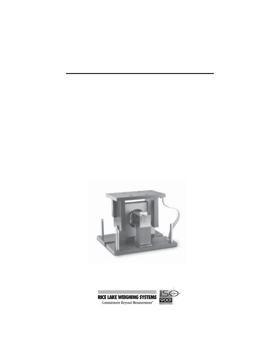 Rice Lake MVS Mount/MVS Conversion Kit User Manual | 12 pages