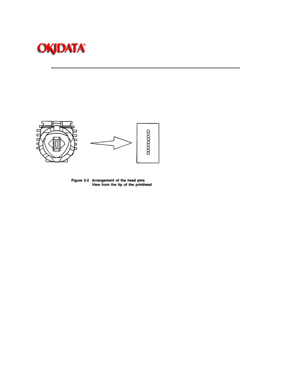 Rice Lake Okidata 320-390-420 Turbo - Service Guide User Manual | Page 28 / 150