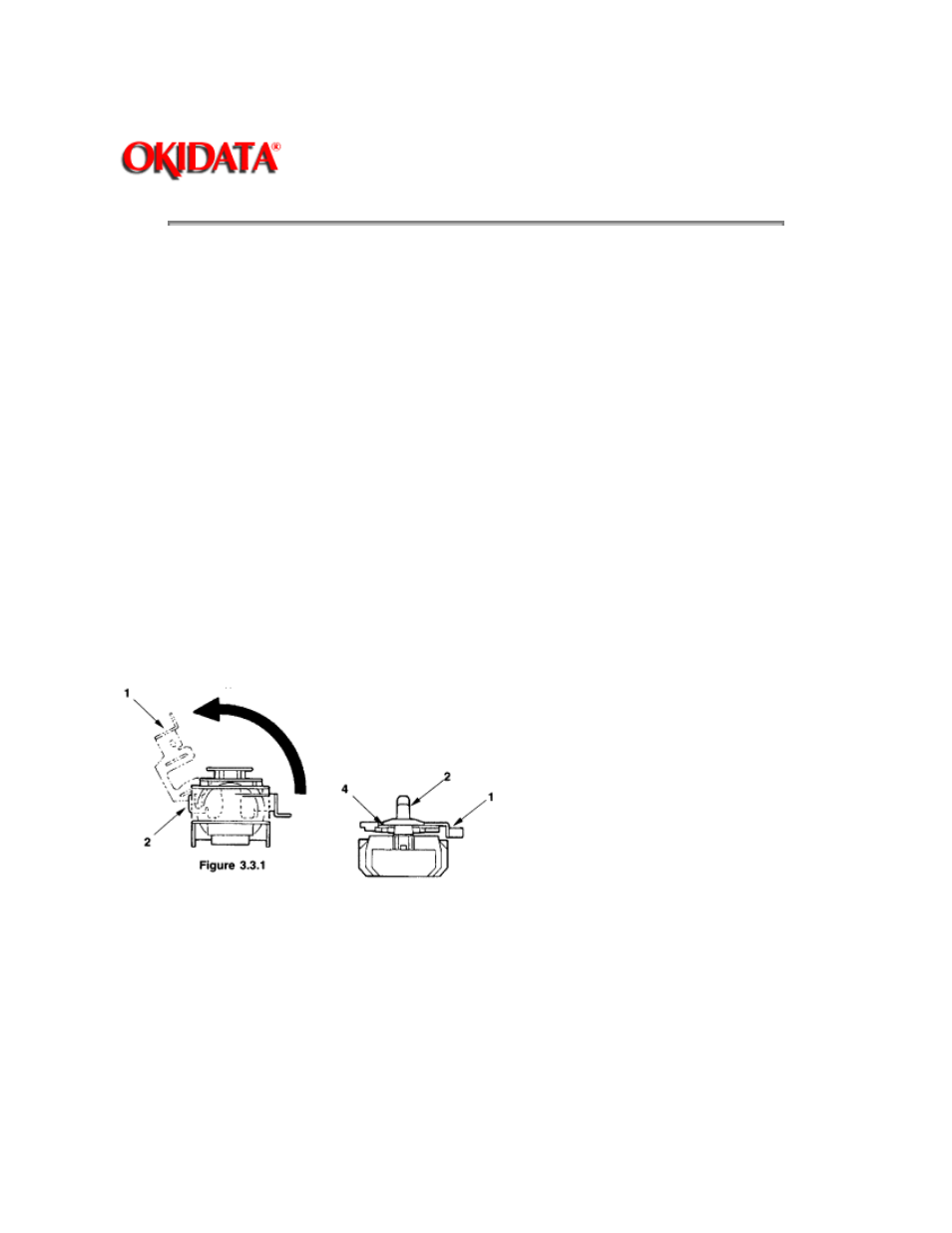 Rice Lake Okidata 320-390-420 Turbo - Service Guide User Manual | Page 56 / 150