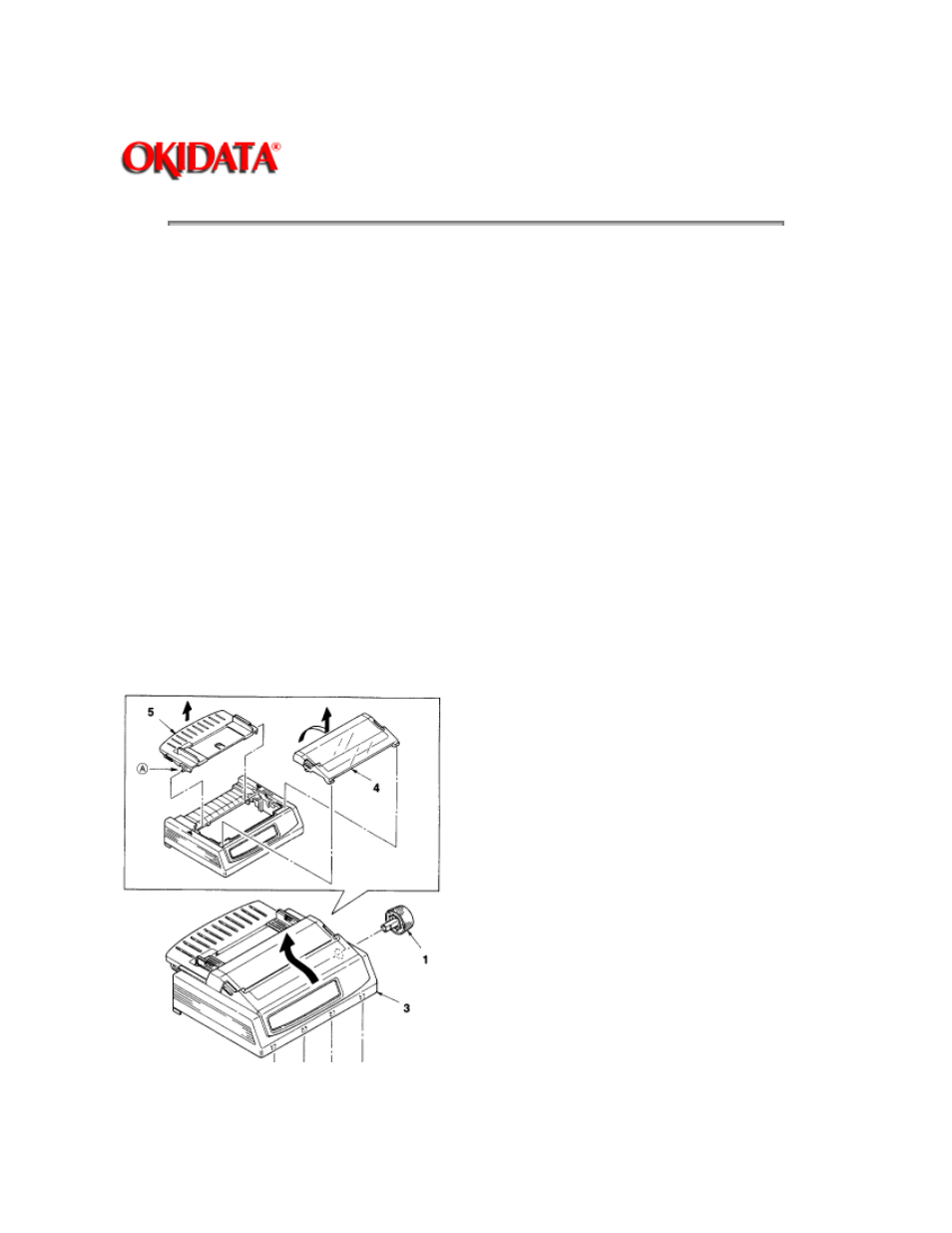 Rice Lake Okidata 320-390-420 Turbo - Service Guide User Manual | Page 60 / 150