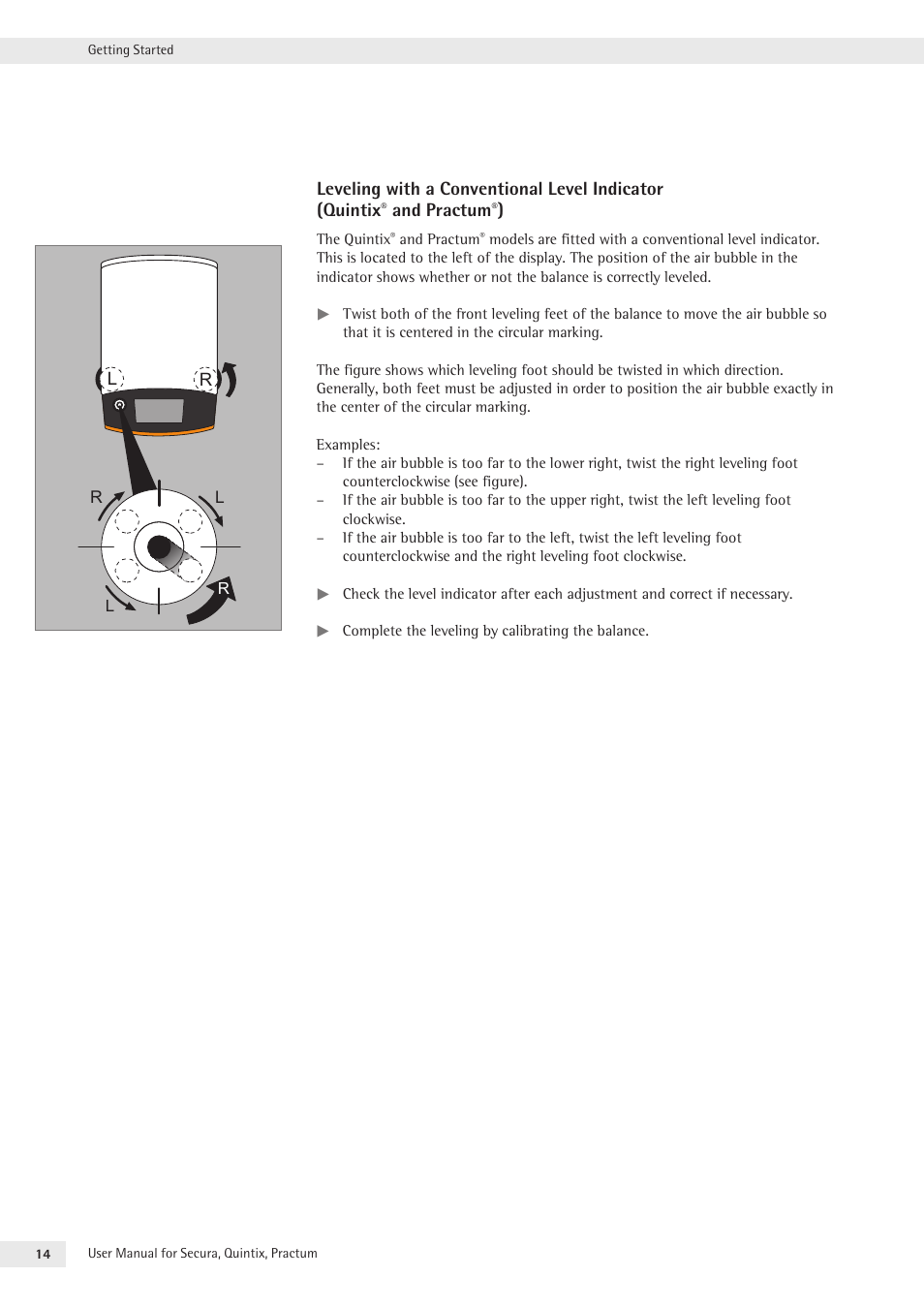Rice Lake Secura - Quintix and Practum Series - User Manual User Manual | Page 14 / 108