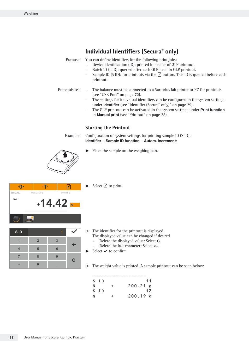 Individual identifiers (secura® only), Individual identifiers (secura, Only) | Rice Lake Secura - Quintix and Practum Series - User Manual User Manual | Page 38 / 108