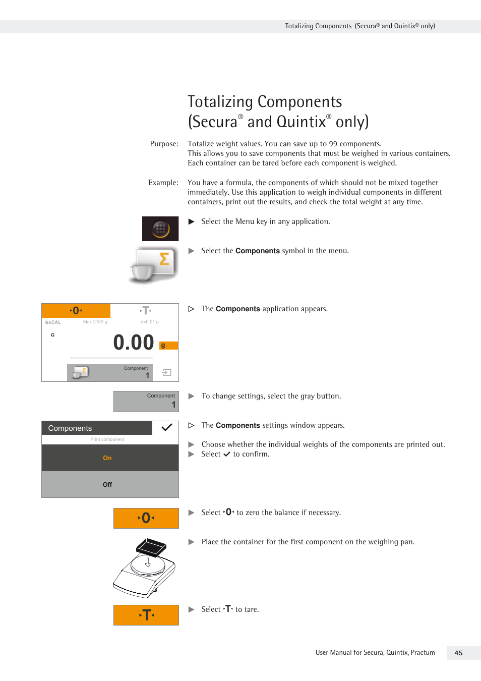 Totalizing components (secura® and quintix® only), Totalizing components (secura, And quintix | Only) | Rice Lake Secura - Quintix and Practum Series - User Manual User Manual | Page 45 / 108