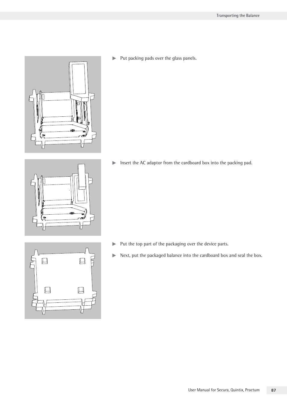 Rice Lake Secura - Quintix and Practum Series - User Manual User Manual | Page 87 / 108