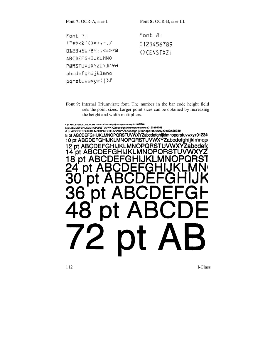 Rice Lake Datamax-ONeil I-Class Printer User Manual | Page 122 / 146