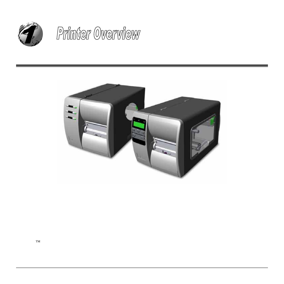 0 introduction | Rice Lake Datamax M-Class User Manual | Page 9 / 166