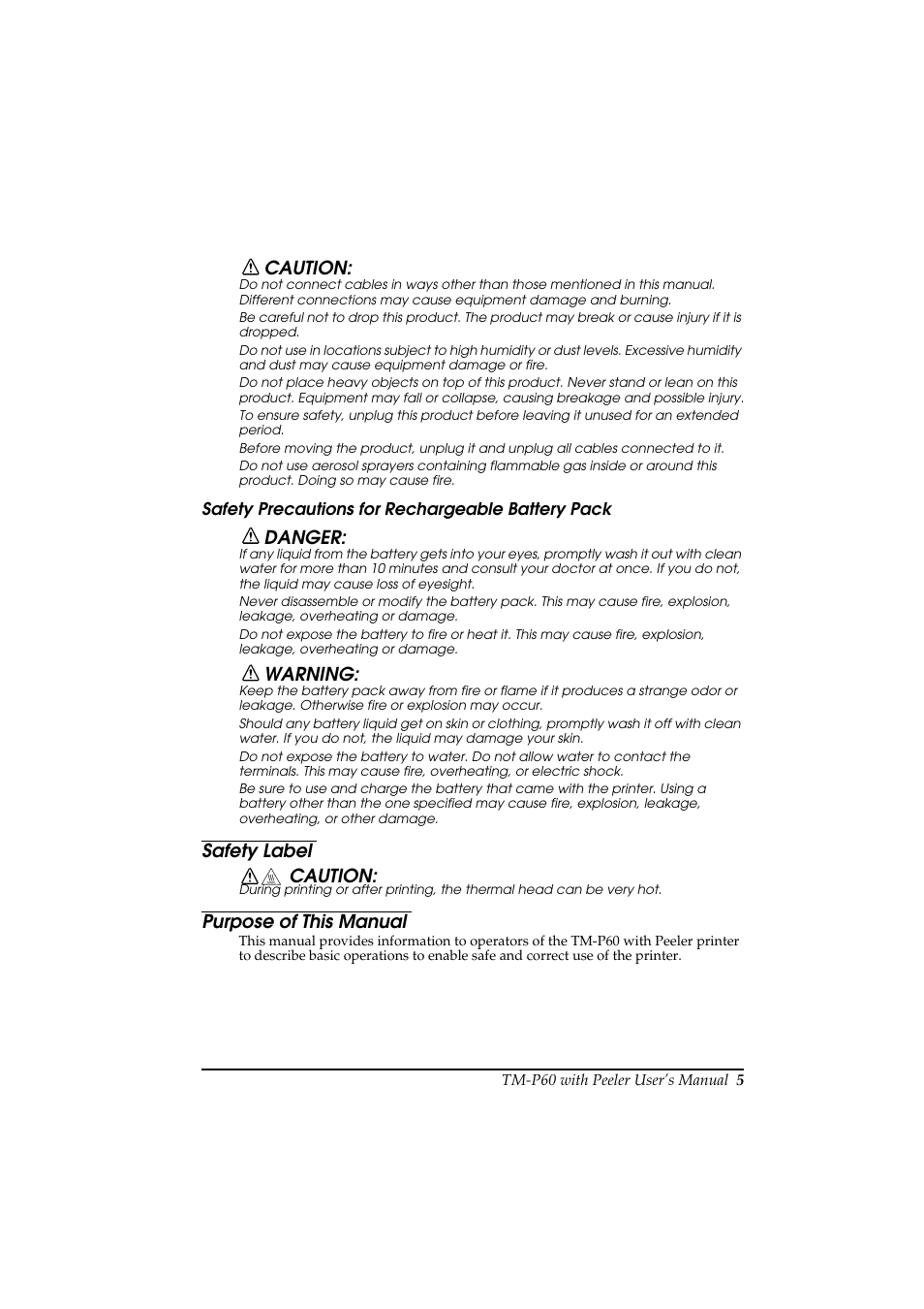 Rice Lake Epson Mobilink TM-P60 User Manual | Page 11 / 104