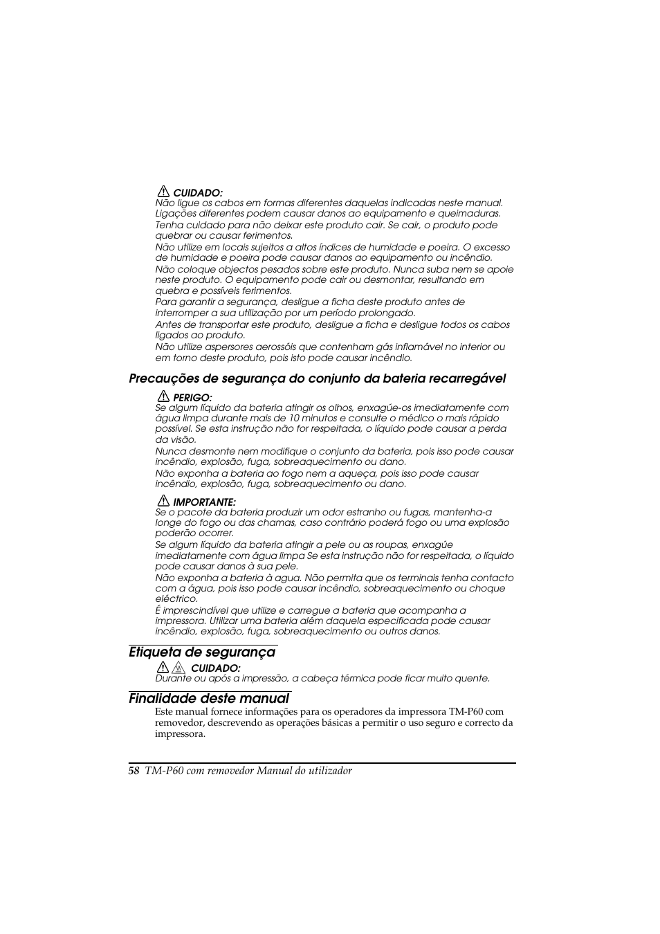 Etiqueta de segurança, Finalidade deste manual | Rice Lake Epson Mobilink TM-P60 User Manual | Page 64 / 104