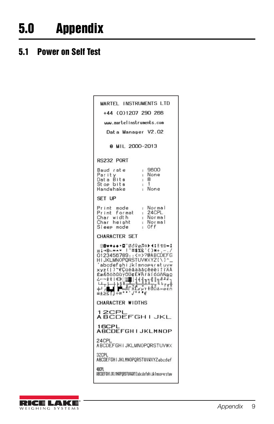 0 appendix, 1 power on self test, Appendix | Rice Lake Prove Statistical Printer User Manual | Page 13 / 20