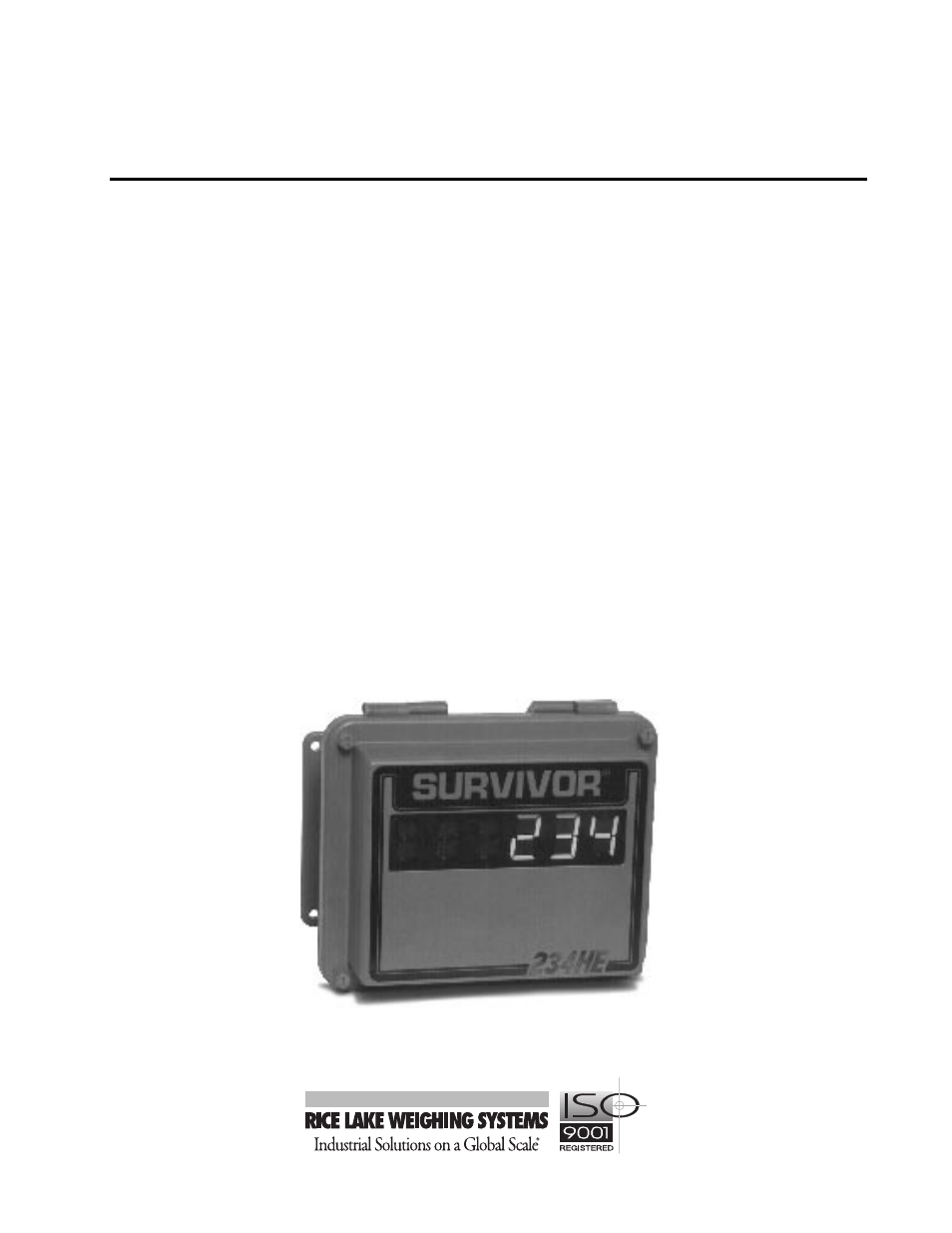 Rice Lake Remote Displays/Scoreboards - 234HE User Manual | 9 pages