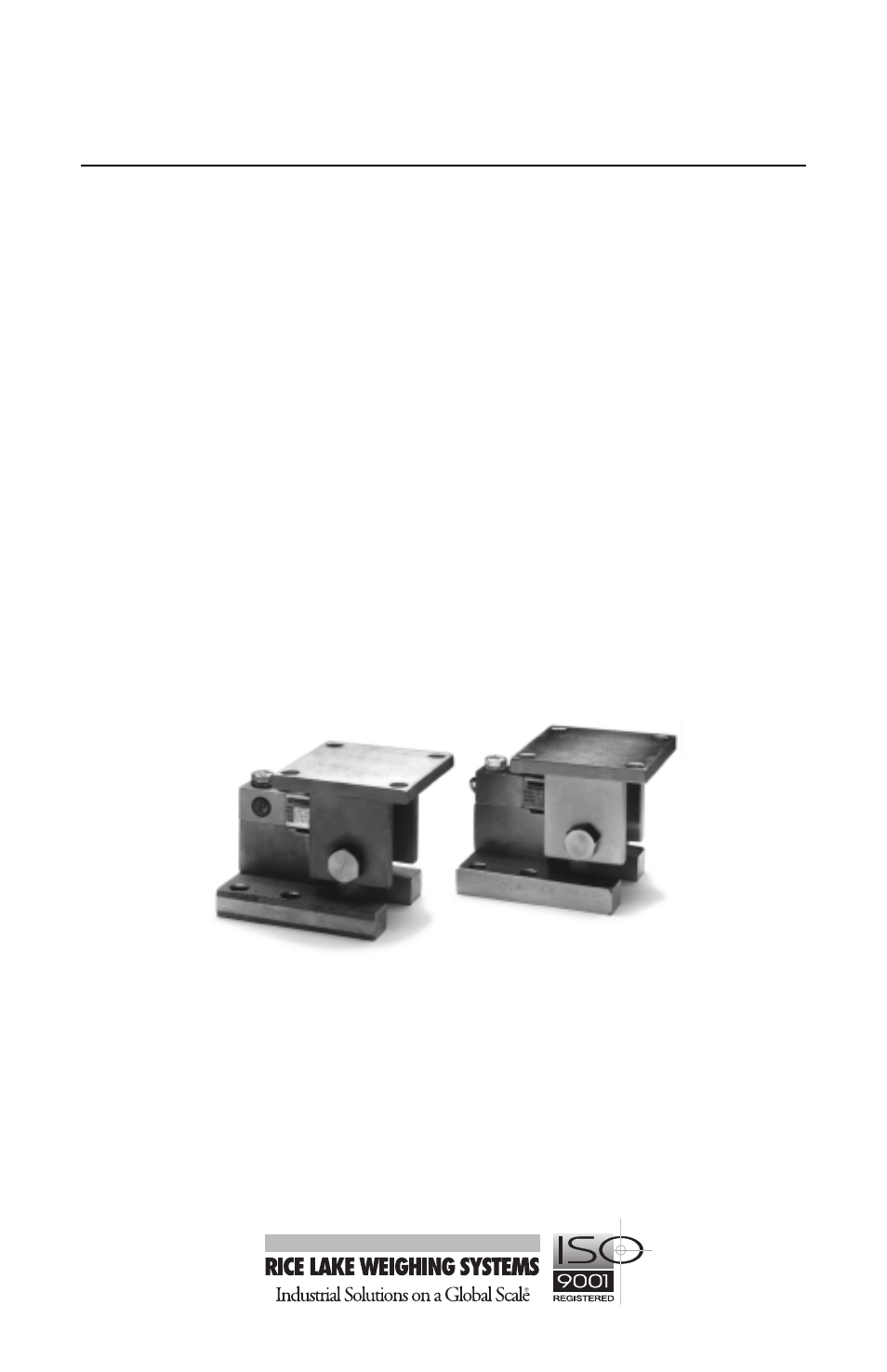 Rice Lake RL1800 Series Stainless Steel User Manual | 10 pages