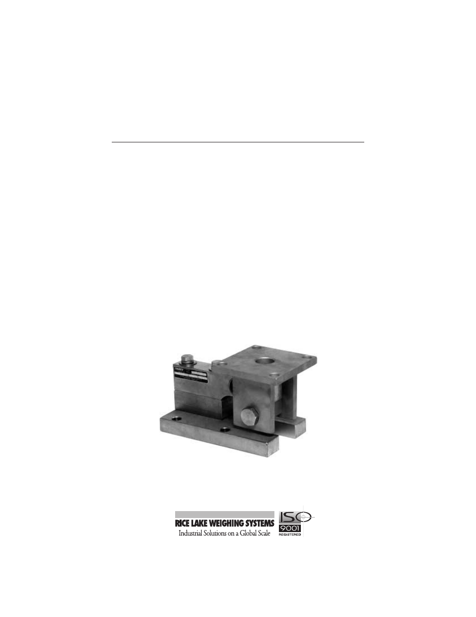 Rice Lake RL1900 Series User Manual | 10 pages