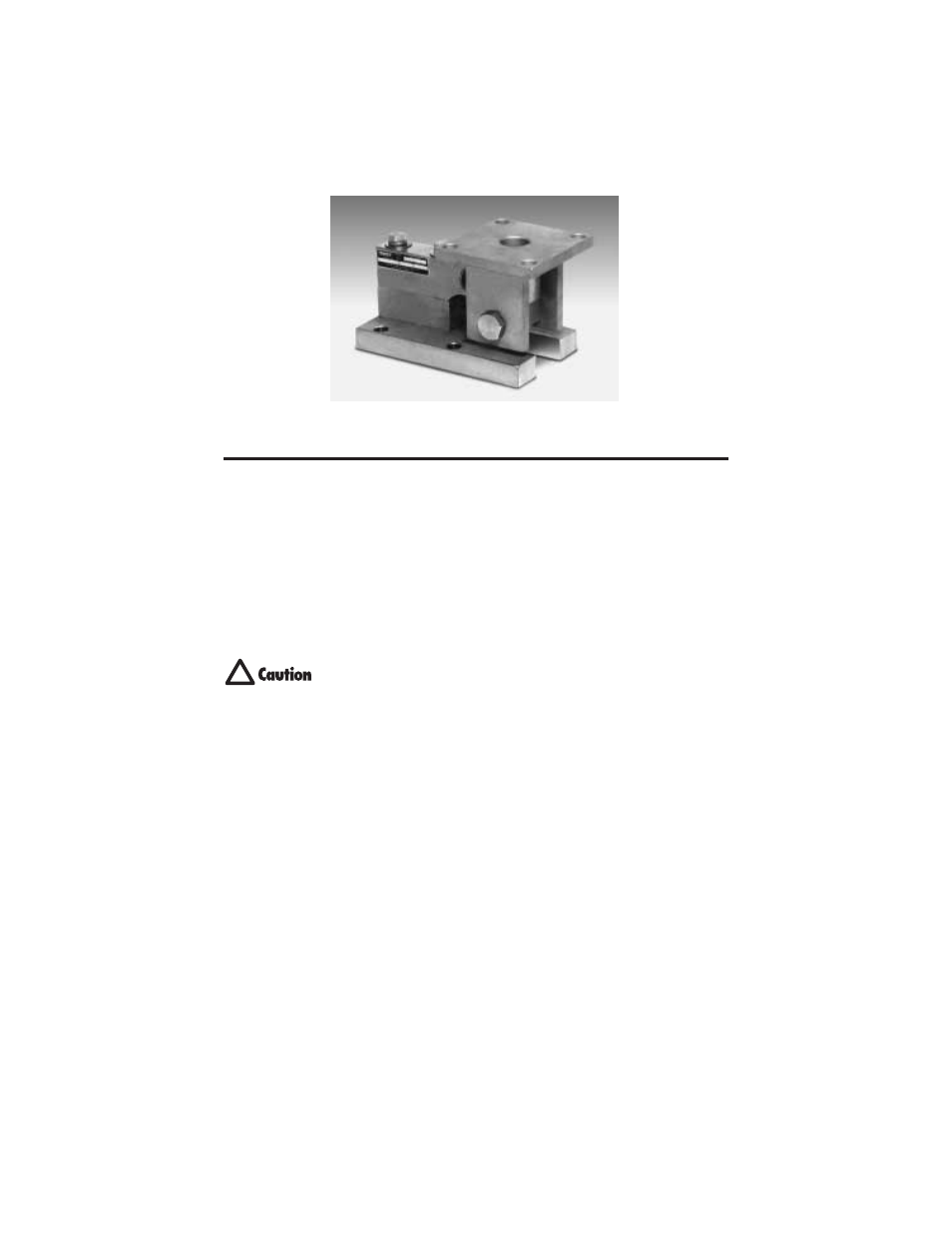 Introduction | Rice Lake RL1900 Series User Manual | Page 3 / 10