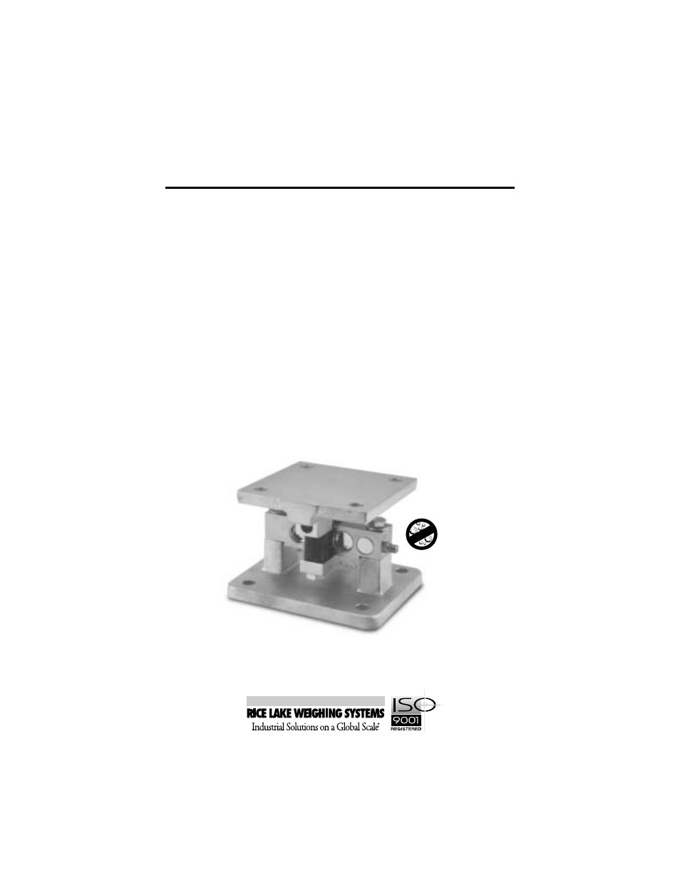 Rice Lake RL2100HE Stainless Steel User Manual | 11 pages