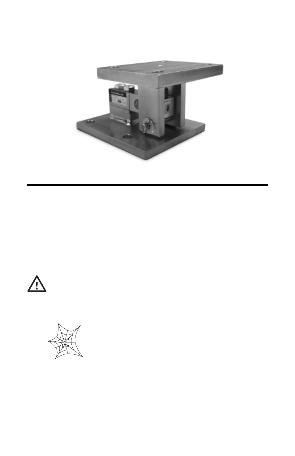 Introduction, Caution | Rice Lake RLBTM Stainless Steel User Manual | Page 3 / 10