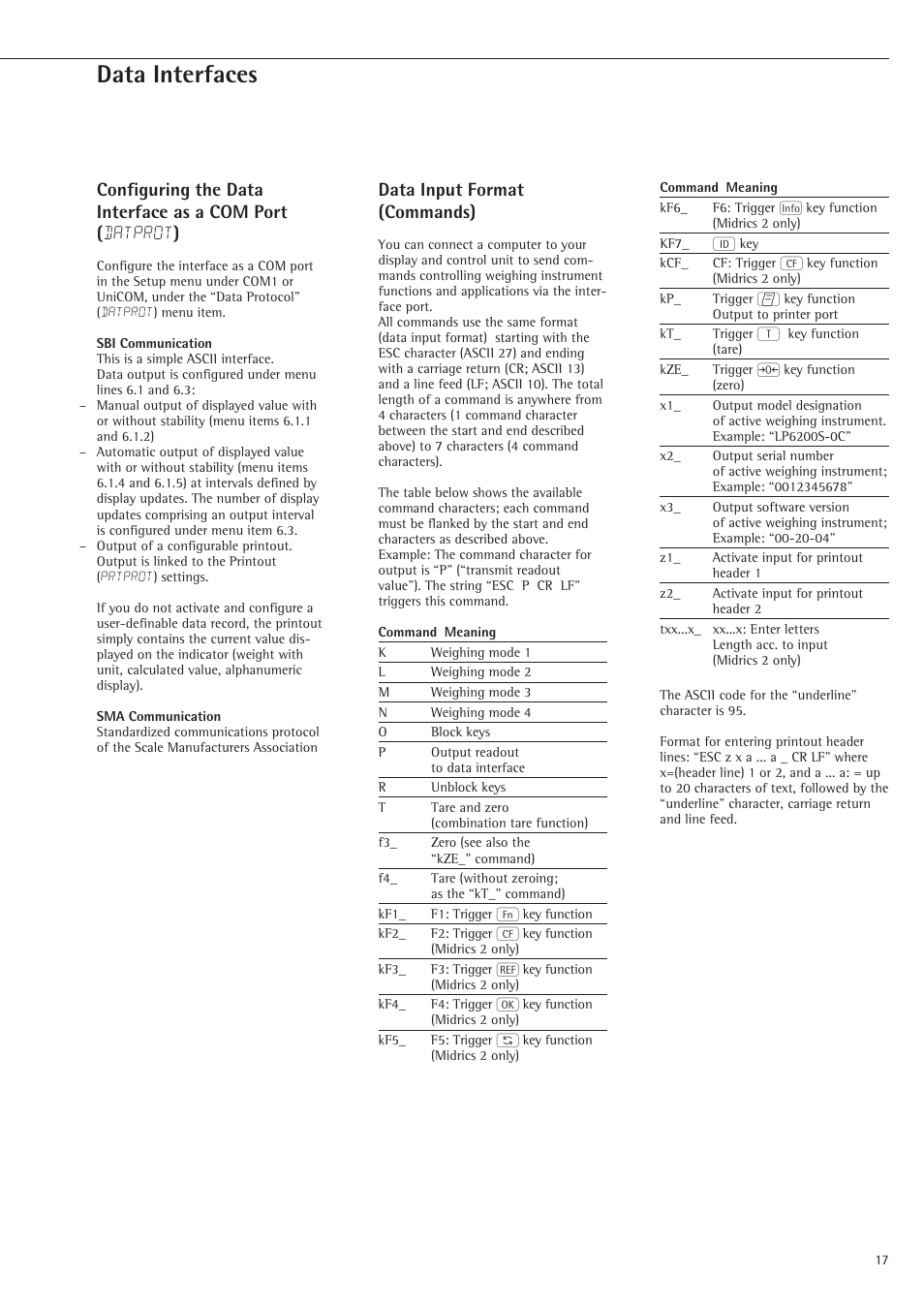 Data interfaces, Data input format (commands) | Rice Lake Sartorius Midrics 1 and 2 Series - Installation Instructions User Manual | Page 17 / 88