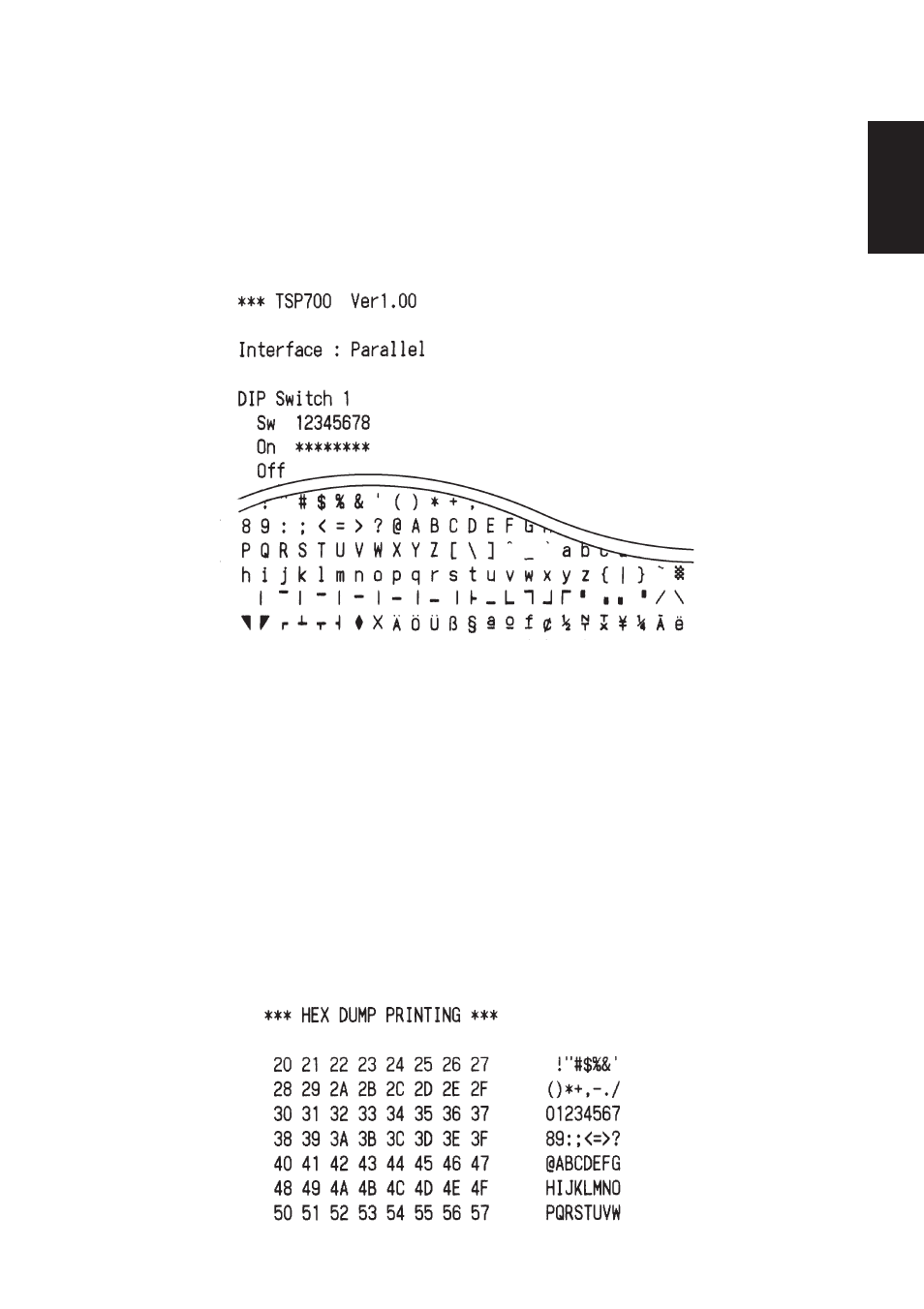 3. self printing | Rice Lake Star TSP-700 - User Manual User Manual | Page 15 / 99