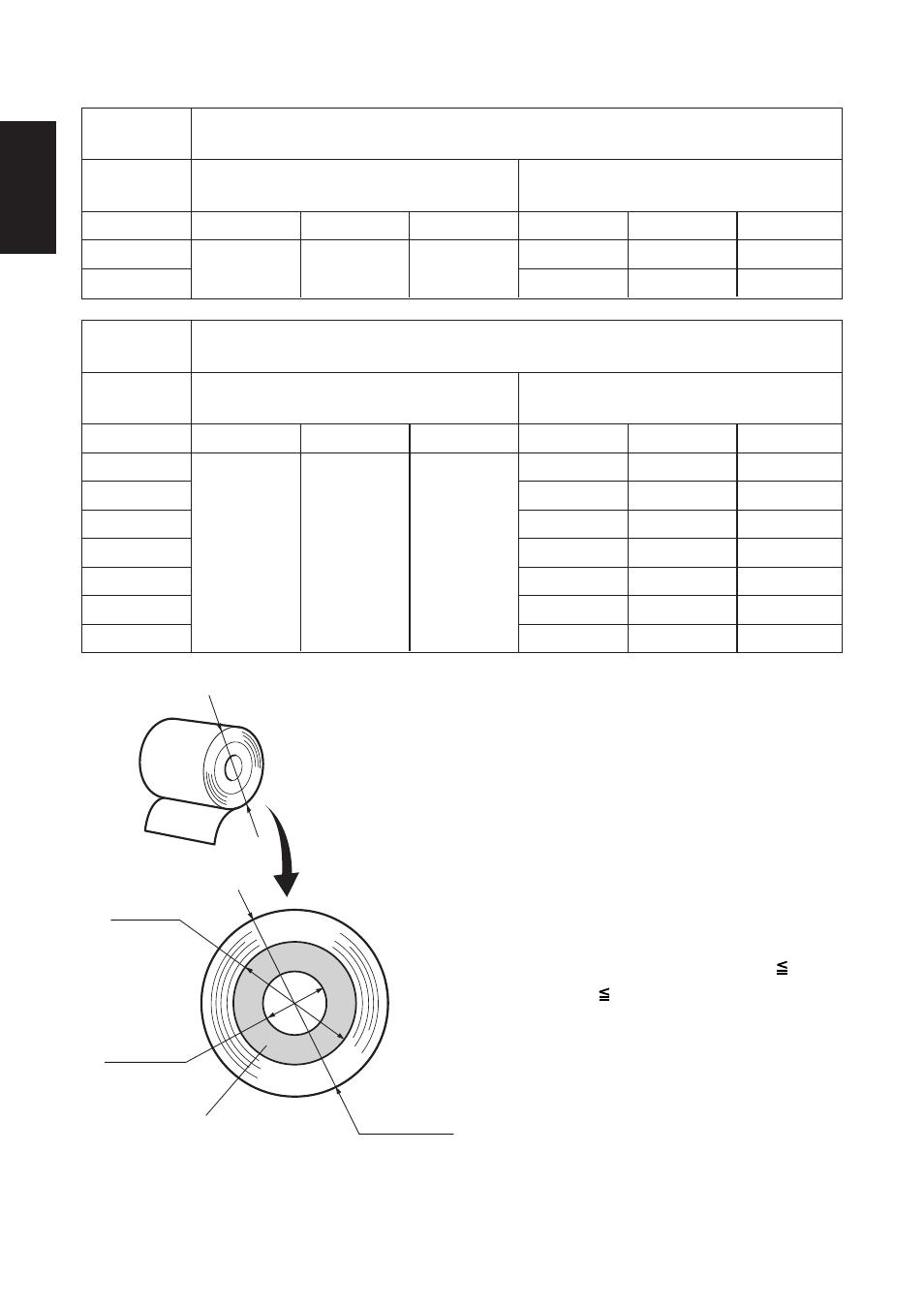 Rice Lake Star TSP-700 - User Manual User Manual | Page 20 / 99