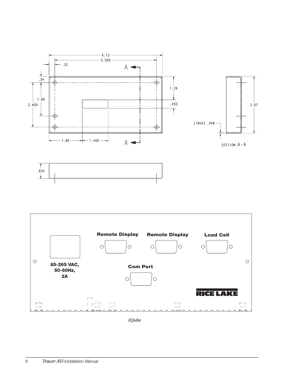 Rice Lake Tracer AVi - v1.0 User Manual | Page 10 / 22