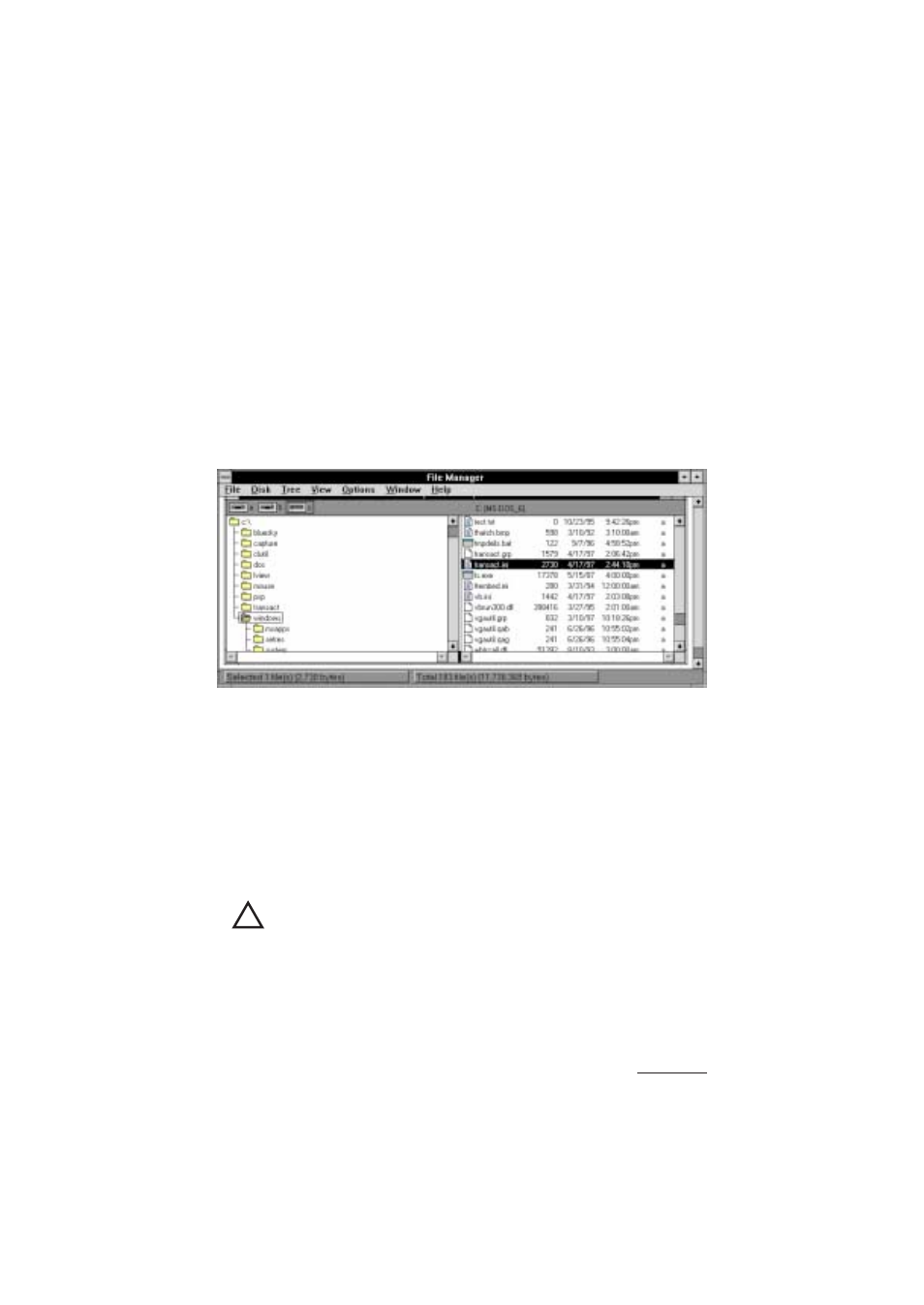 Customizing transact with transact.ini file | Rice Lake TransAct 1.0 User Manual | Page 25 / 149