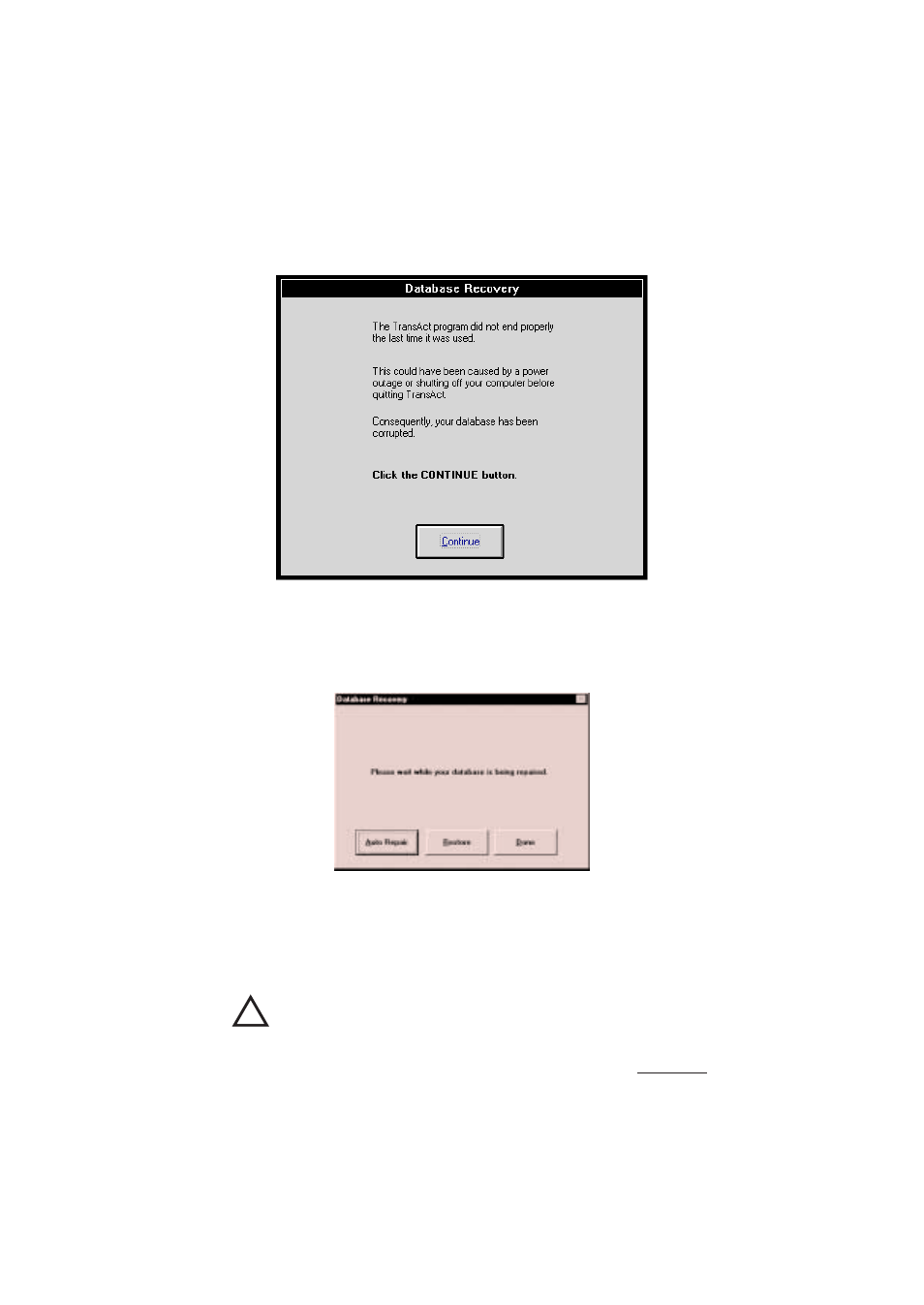 Caution | Rice Lake TransAct 1.0 User Manual | Page 29 / 149