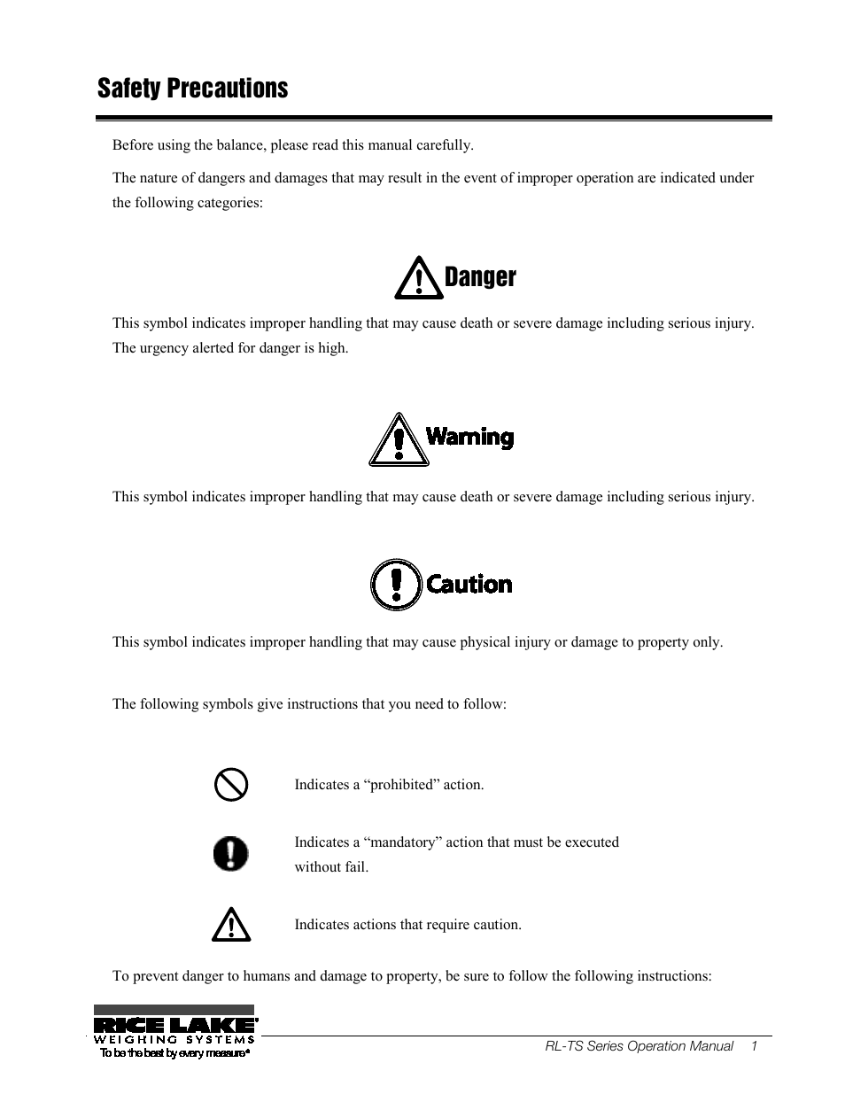 Safety precautions, Danger | Rice Lake TS Series, Rice Lake Weighing Systems - Operation Manual User Manual | Page 5 / 104