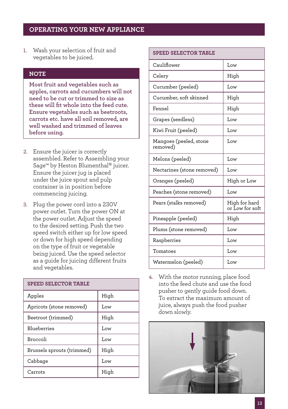 Sage Nutri Juicer BJE410UK User Manual | Page 14 / 40