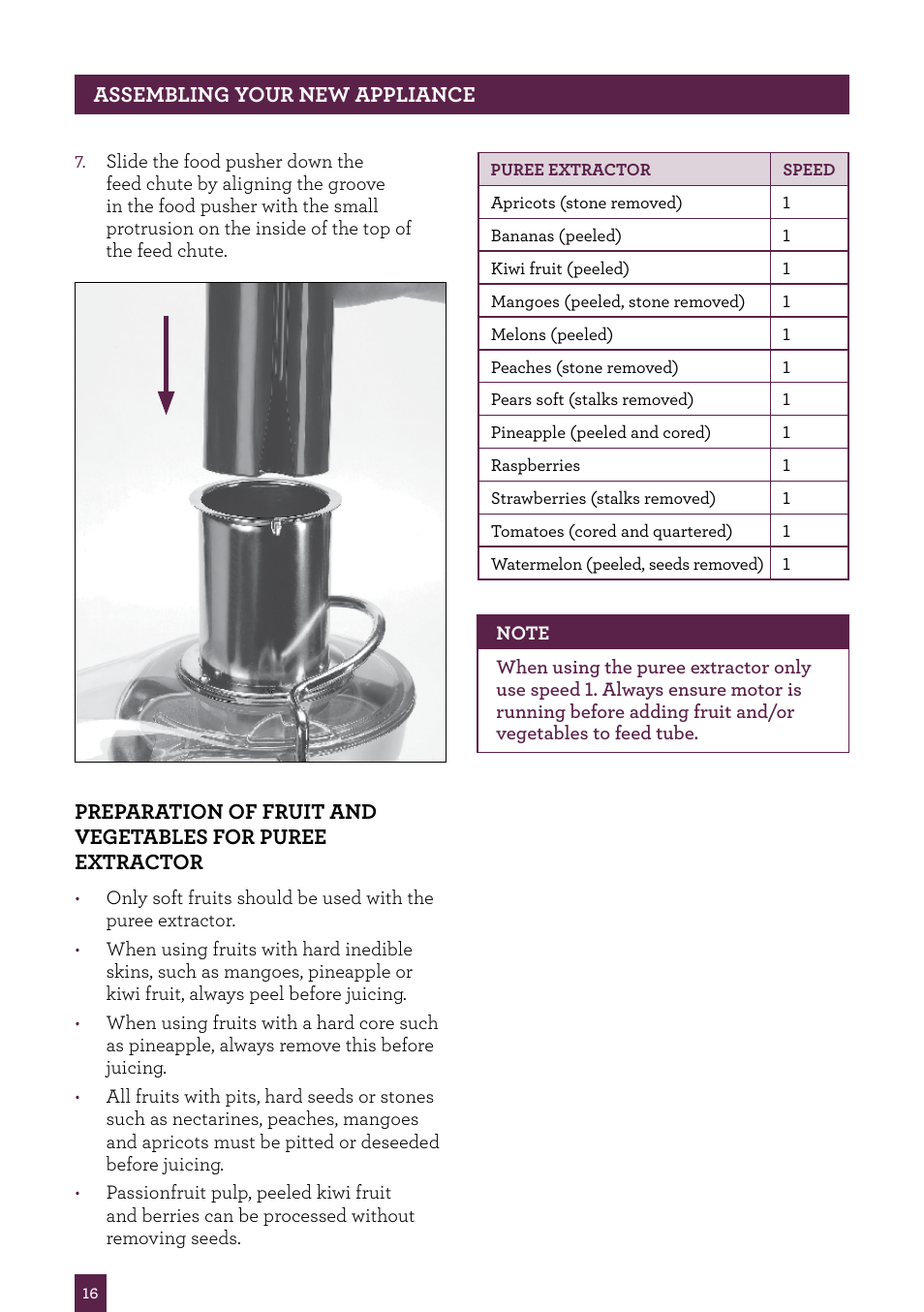 Sage Nutri Juicer Pro BJE820UK User Manual | Page 17 / 48