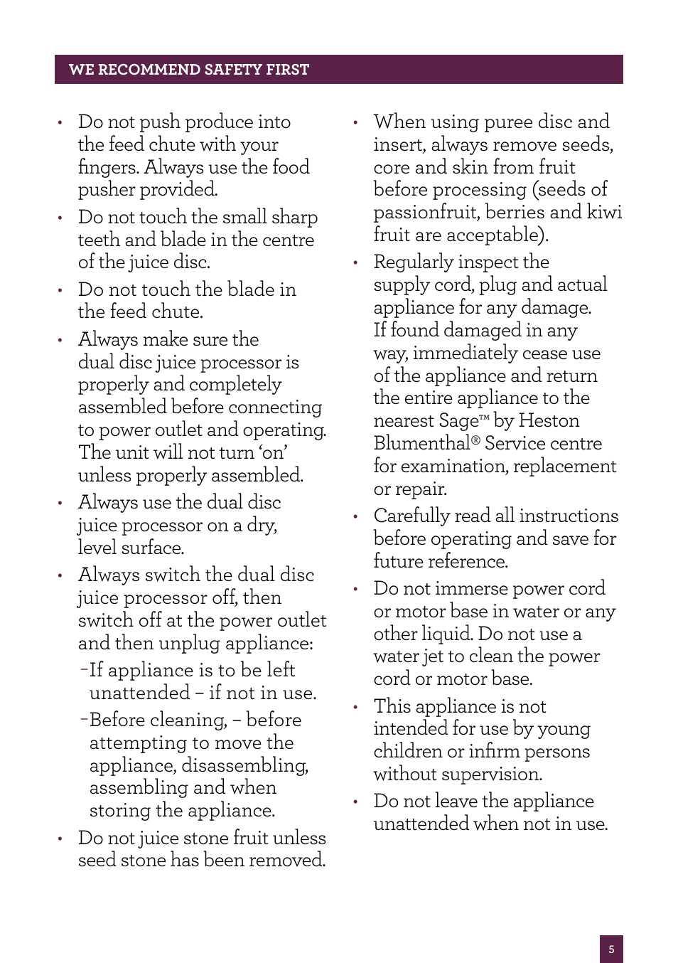Sage Nutri Juicer Pro BJE820UK User Manual | Page 6 / 48