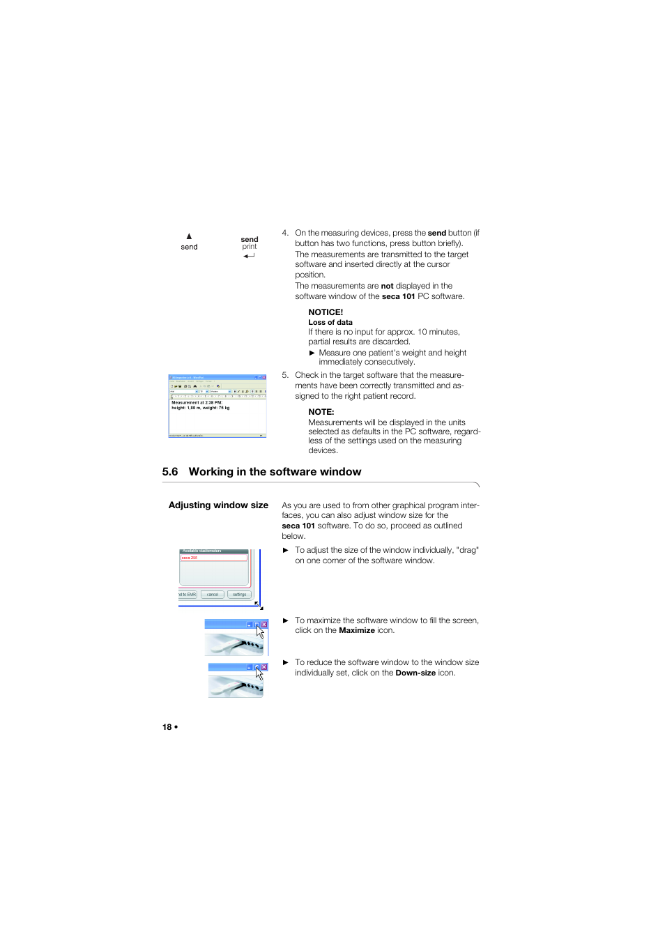 6 working in the software window, Adjusting window size, 6 working in the software | Window | Seca 101 User Manual | Page 18 / 28