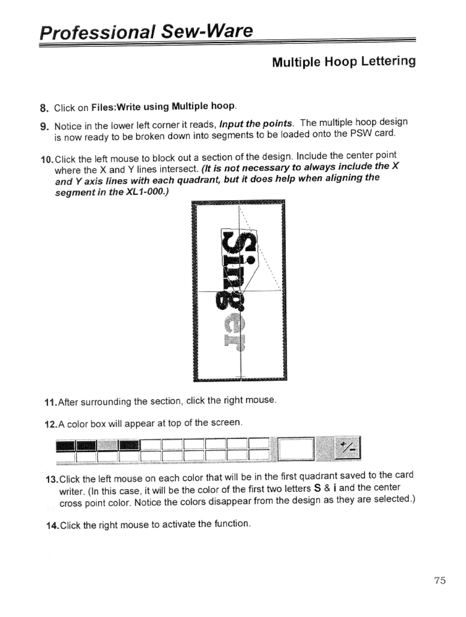 Multiple hoop lettering, Professional sew-ware | SINGER PSW 1.10-WORKBOOK User Manual | Page 77 / 80