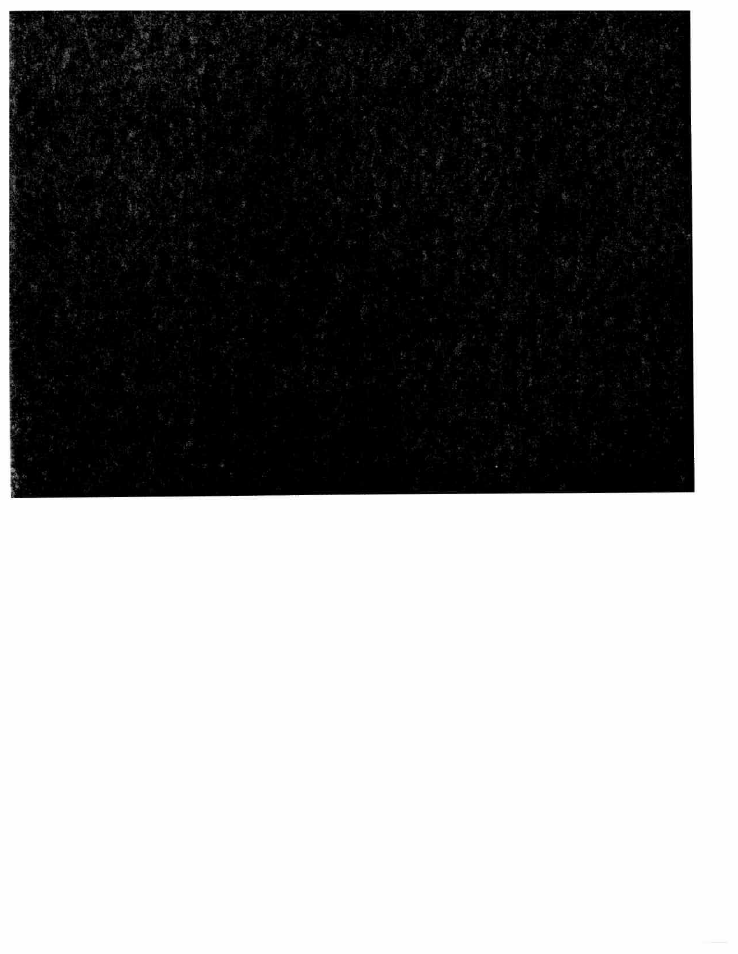 SINGER W167 User Manual | Page 38 / 38
