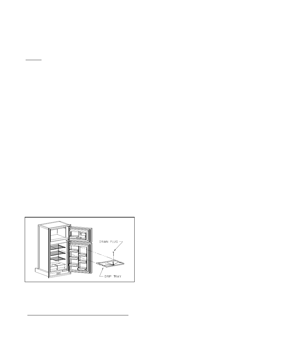 Maintenance of refrigerator, Maintenance of your refrigerator | Thetford EV56 Series User Manual | Page 8 / 12