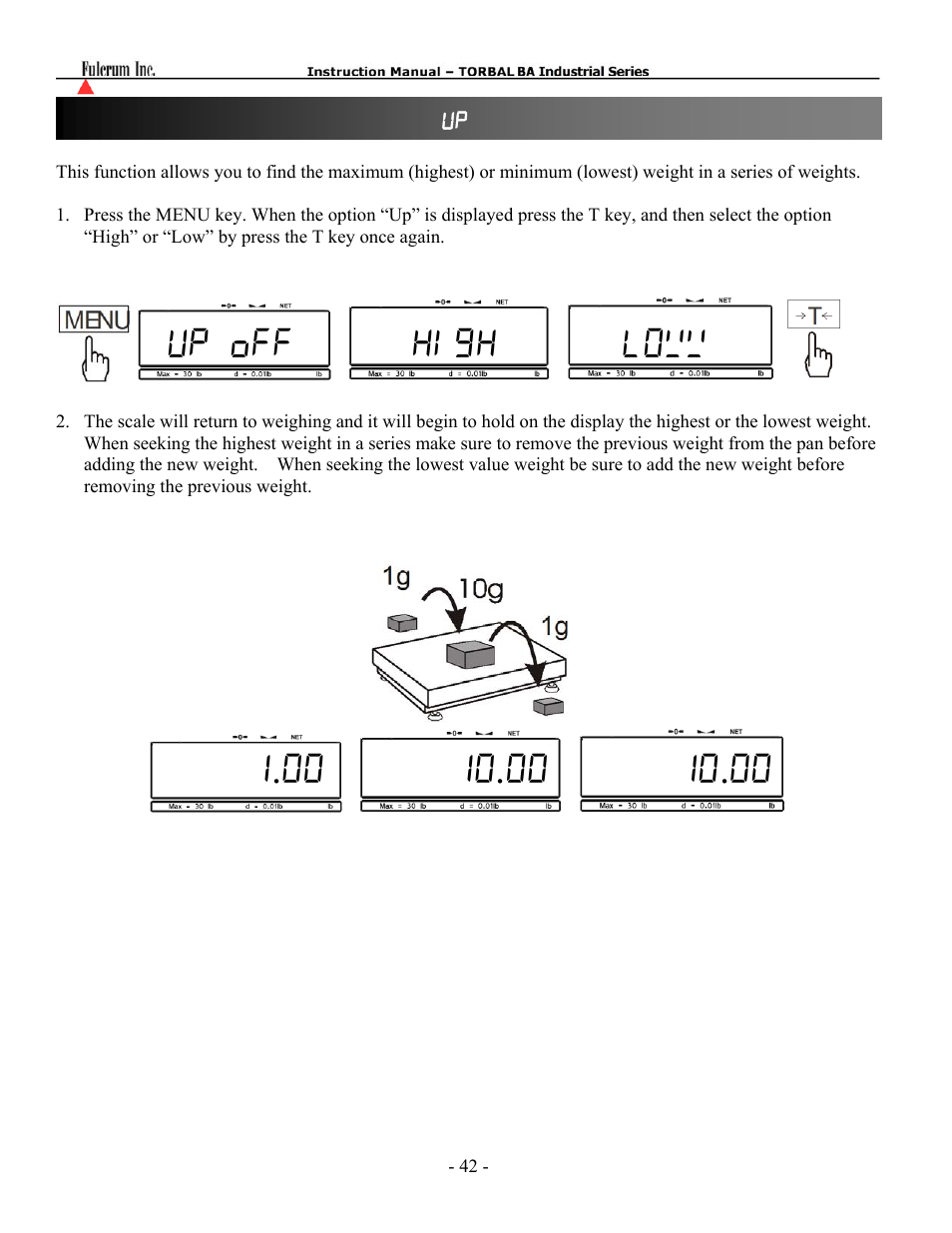 Torbal BA Industrial Platform User Manual | Page 42 / 57