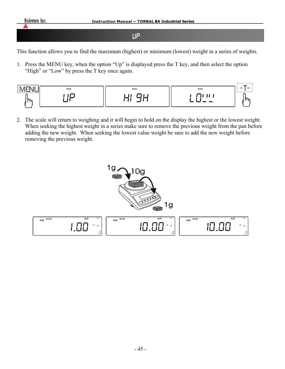 Torbal BT Precision Portable User Manual | Page 45 / 60