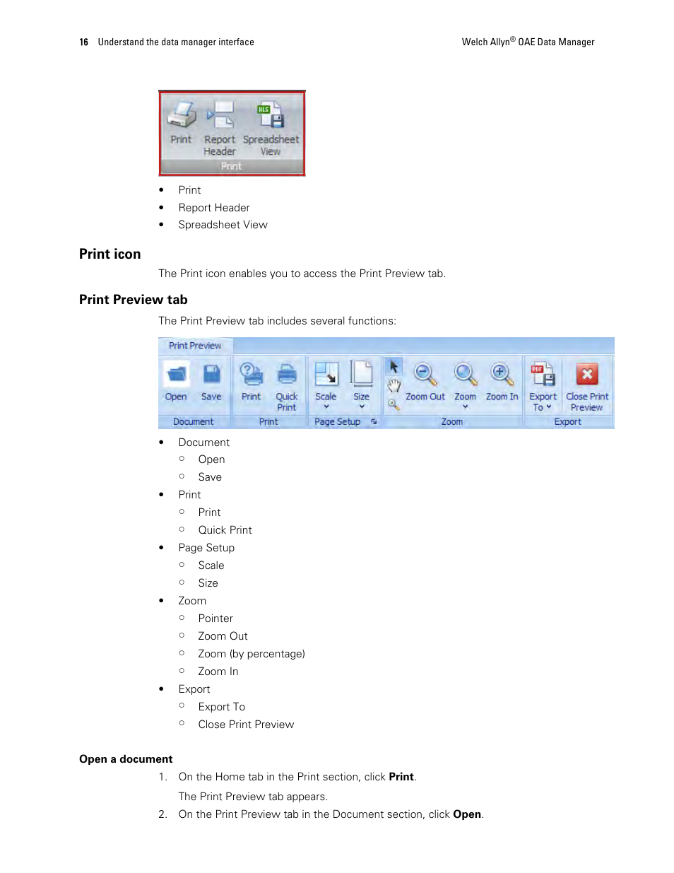 Print icon | Welch Allyn OAE Data Manager - User Manual User Manual | Page 20 / 39