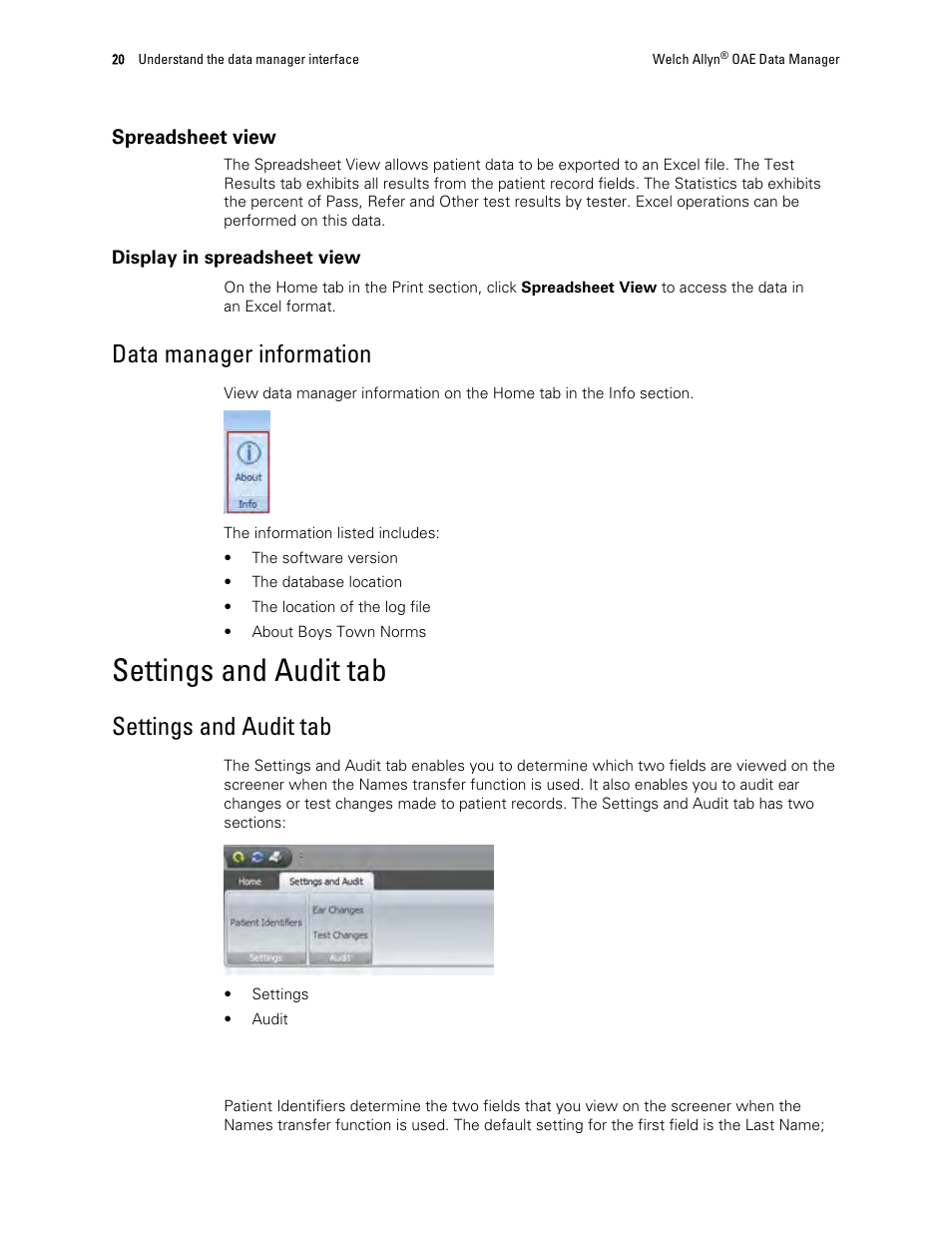Spreadsheet view, Data manager information, Settings and audit tab | Set patient identifiers | Welch Allyn OAE Data Manager - User Manual User Manual | Page 24 / 39