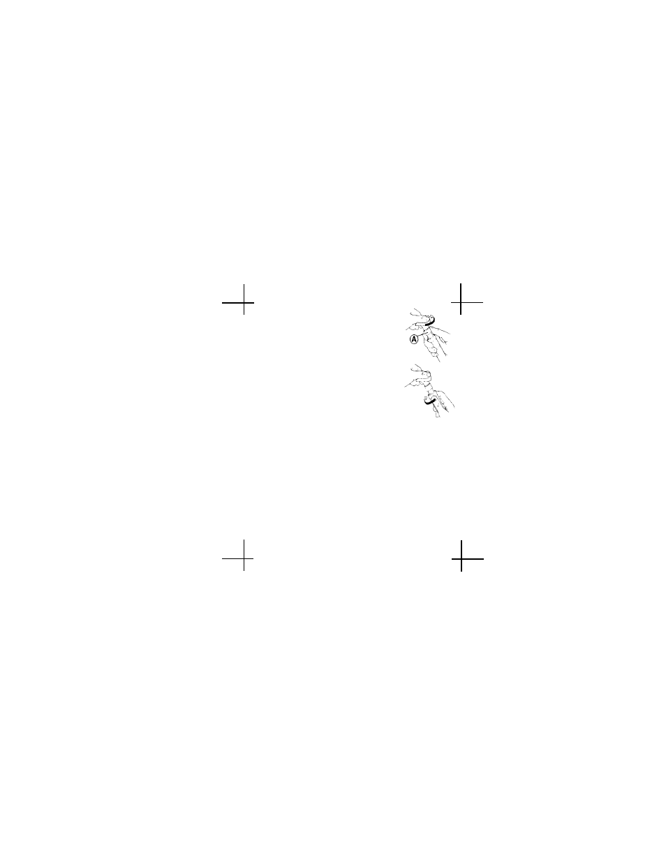 Welch Allyn Ophthamoscopes - User Manual User Manual | Page 14 / 31