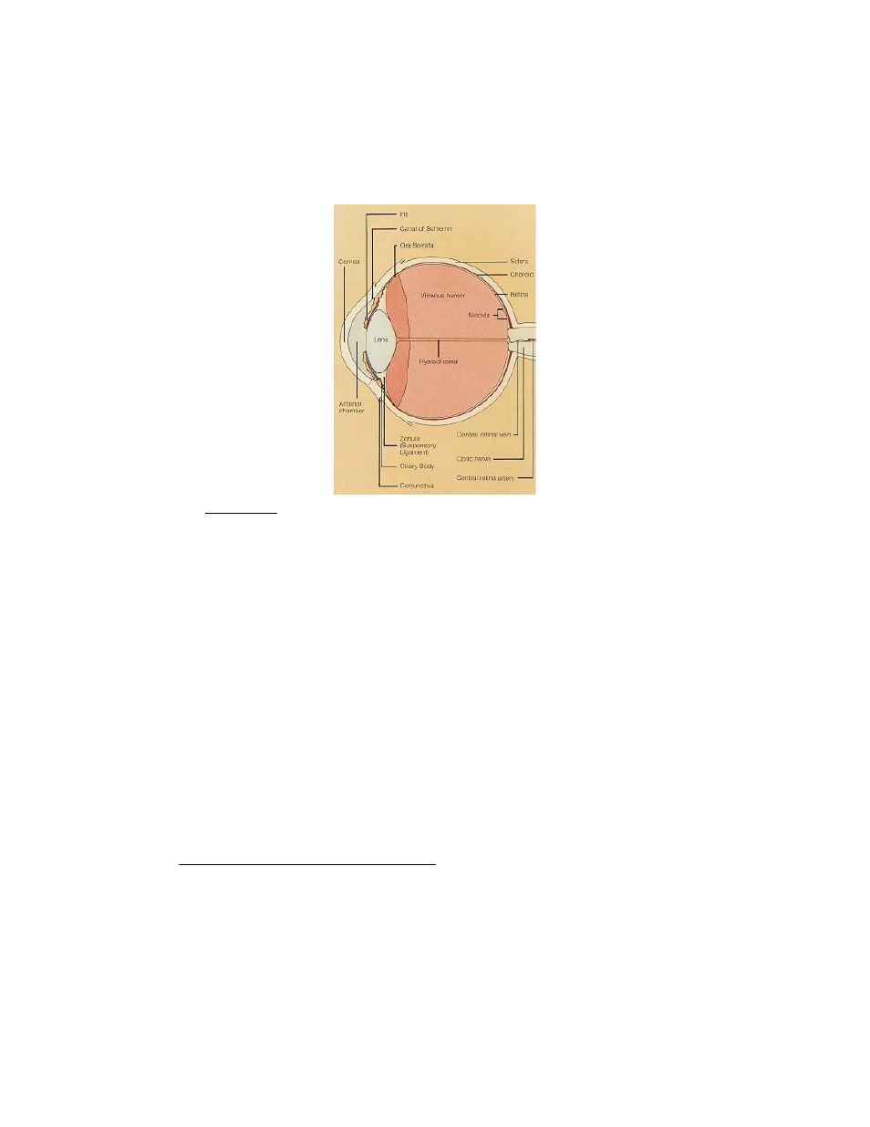 Welch Allyn SureSight Vision Screener - User Manual User Manual | Page 23 / 32
