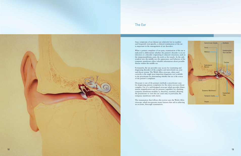 The ear | Welch Allyn A Guide To The Use Of Diagnostic Instruments In Eye And Ear Examinations - Quick Reference Guide User Manual | Page 10 / 16